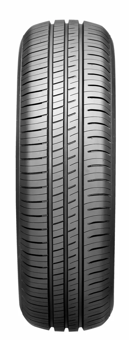 205/55R16.0 450 SH91